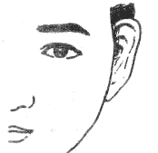 详细研究
:十六种耳朵和面部表情图解分析