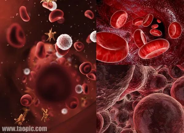 吐血推荐:血型的遗传规律是怎样的?