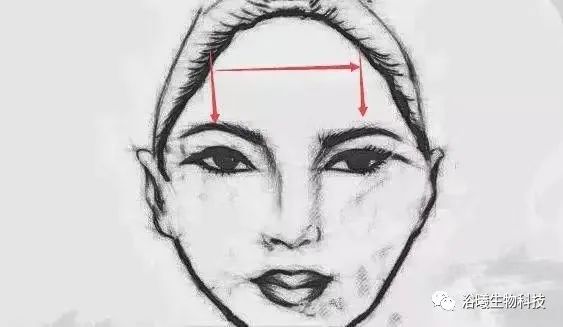 真正答案
:女人额头窄脸大面相是穷命吗？
