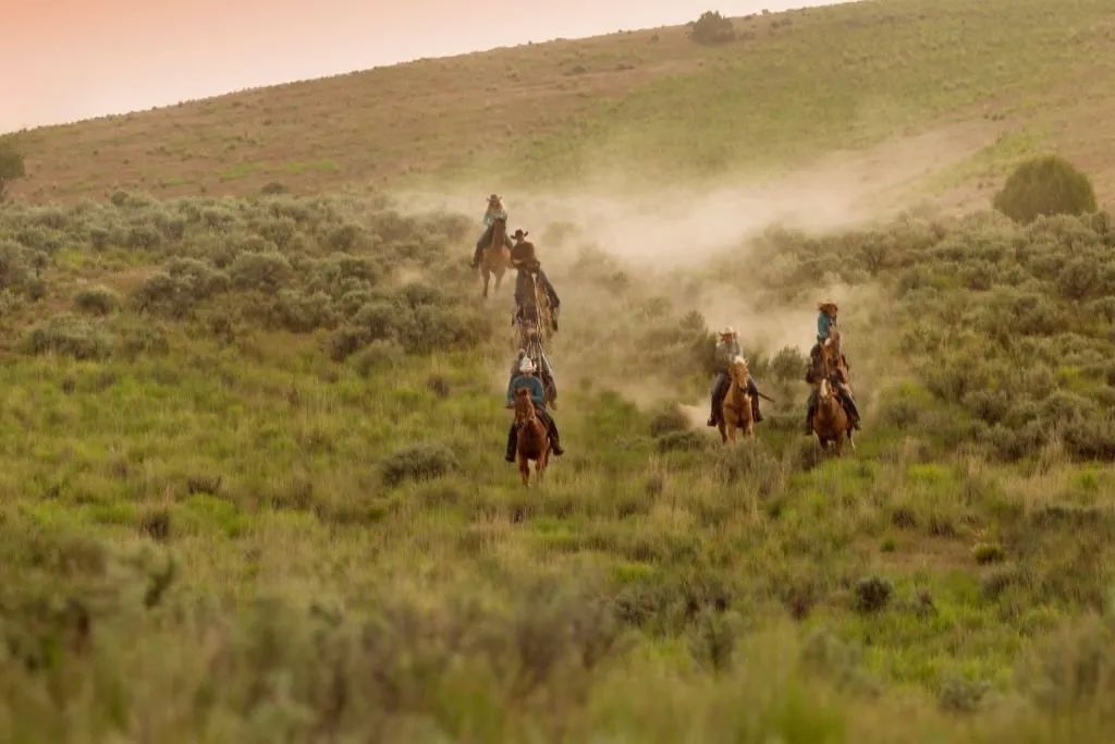 胆战心惊
:草原上的生命律动：马帮文化的传奇与魅力