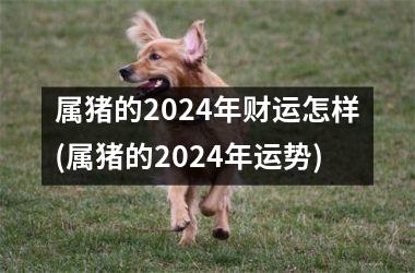 超便捷
:属猪的2024年财运怎样(属猪的2024年运势)