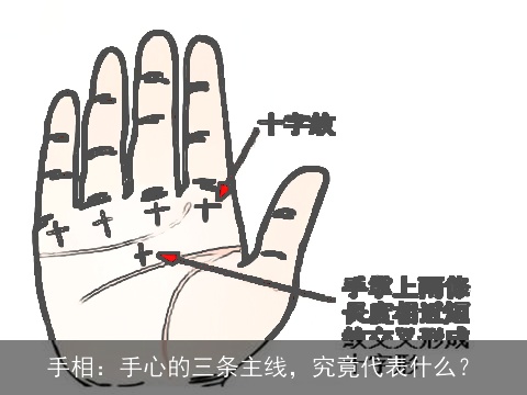 独到见解
:手相：手心的三条主线，究竟代表什么？