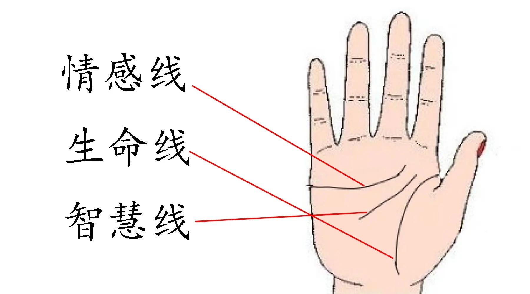 俗语：三角纹在手，富到九十九，是什么意思？