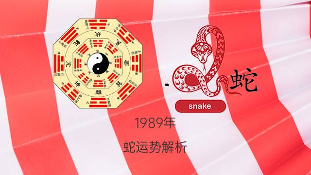 好物分享
:1989年属蛇的一生运势 1989年属蛇一生运势